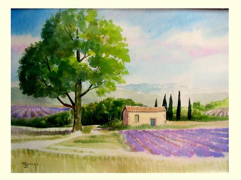 Aquarelle 002.jpg